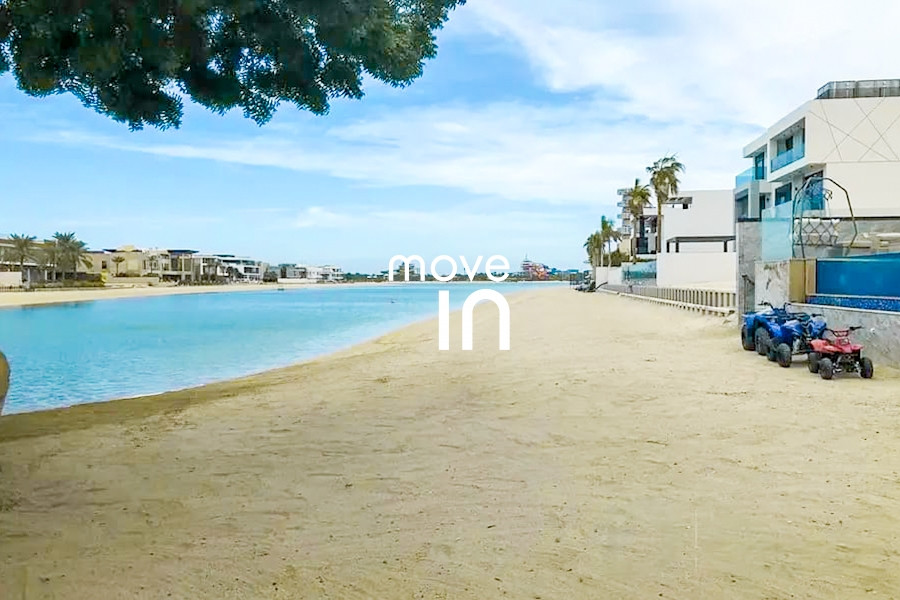 Canal Cove Frond B